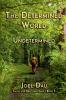 The Determined World - Undetermined (Book 2)