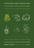 A Field Guide to North American Trees