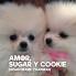 Amor Sugar y Cookie
