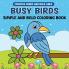 Busy Birds Simple and Bold Coloring Book
