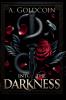 Into the Darkness