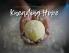 Kneading Hope