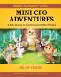 Mini-CFO Adventures