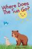Where Does the Sun Go?