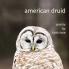 american druid