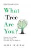 What Tree Are You?