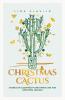 Christmas Cactus