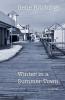 Winter in a Summer Town