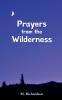Prayers from the Wilderness