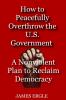 How to Peacefully Overthrow the U.S. Government