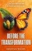 Before The Transformation