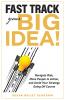 Fast Track Your Big Idea! Navigate Risk Move People to Action and Avoid Your Strategy Going Off Course