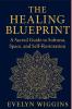 The Healing Blueprint