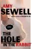 The Hole In The Rabbit