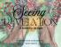 Seeing Revelation