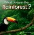 What Lives in the Rainforest?