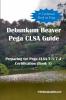 Debunkum Beaver Pega CLSA Guide - Preparing for Pega CLSA 7.3/7.4 Certification (Book 1)