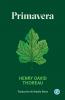Primavera