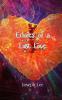 Echoes of a Lost Love