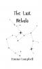 The Last Nebula
