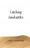 Catching Sandcastles