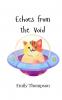 Echoes from the Void