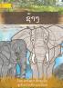 Elephant - ຊ້າງ