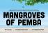 Mangroves of Pemba