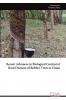Recent Advances in Biological Control of Root Diseases of Rubber Trees in China