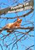 Peeking Cat Anthology 2017