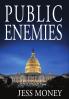 Public Enemies