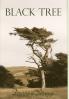 Black Tree