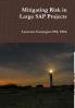 Mitigating Risk in Large SAP Projects
