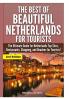 The Best Of Beautiful Netherlands for Tourists