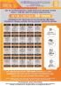 PROFESSIONAL’S Hindi Edition AIBE Bare Acts without Notes 20 Book Set as Per Latest Guidelines of BCI with New Criminal Laws एआईबीई परीक्षा के हिन्दी संस्करण बेयर एक्ट्स सेट