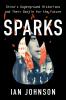Sparks: China's Underground Historians and Their Battle for the Future