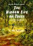 The Hidden Life Of Trees: A Graphic Adaptation