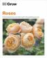 Grow Roses: Essential Know-how and Expert Advice for Gardening Success