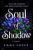SOUL OF SHADOW