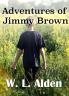 Adventures of Jimmy Brown (Classic Reprint)