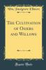 Cultivation of Osiers and Willows (Classic Reprint)
