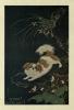 Dogs of China Japan in Nature and Art (Classic Reprint)