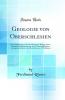 Geologie von Oberschlesien: Eine ErlÃ¤uterung zu der im Auftrage des KÃ¶nigl. Preuss. Handels-Ministeriums von dem Verfasser Bearbeiteten Geologischen Karte von Oberschlesien in 12 Sektionen (Classic Reprint)