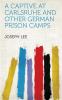 Captive at Carlsruhe: And Other German Prison Camps (Classic Reprint)