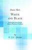 White and Black: An Inquiry Into South Africa's Greatest Problem (Classic Reprint)
