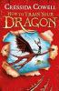 HOW TO TRAIN YOUR DRAGON (HOW TO TRAIN YOUR DRAGON BOOK 1)