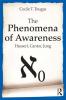 Phenomena of Awareness