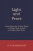 Light and Peace: Instructions for Devout Souls to Dispel Their Doubts and Allay Their Fears (Classic Reprint)