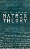 Matrix Theory