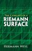 Concept of a Riemann Surface